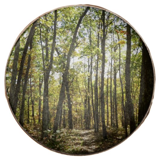 Appalachian Trail in October at Shenandoah Chocolate Covered Oreo (Front)