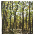 Appalachian Trail in October at Shenandoah Cloth Napkin