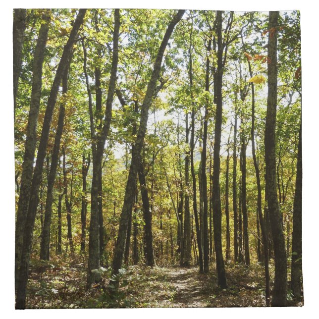 Appalachian Trail in October at Shenandoah Cloth Napkin (Front)