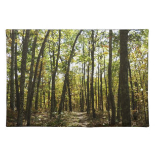 Appalachian Trail in October at Shenandoah Cloth Placemat