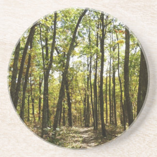Appalachian Trail in October at Shenandoah Coaster