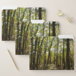 Appalachian Trail in October at Shenandoah File Folder