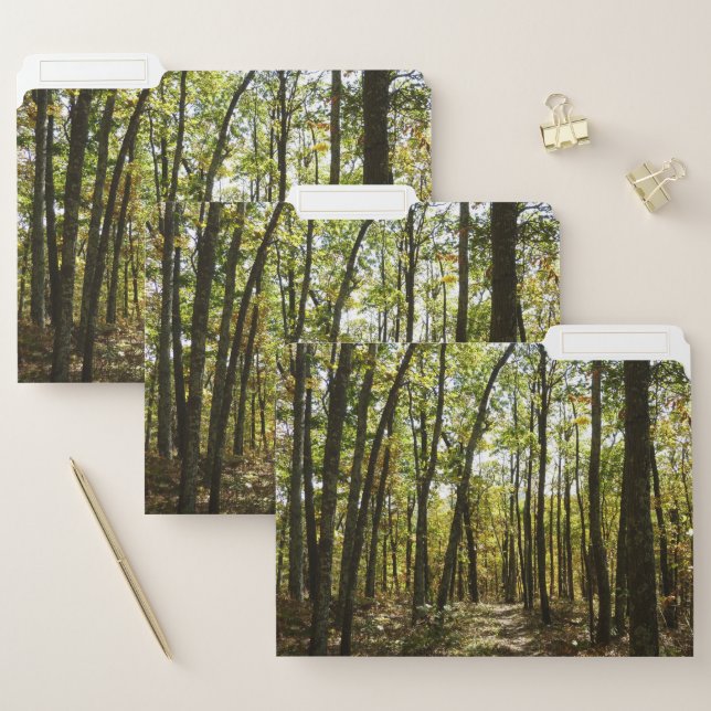 Appalachian Trail in October at Shenandoah File Folder (Set)