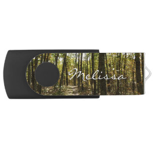 Appalachian Trail in October at Shenandoah Flash Drive