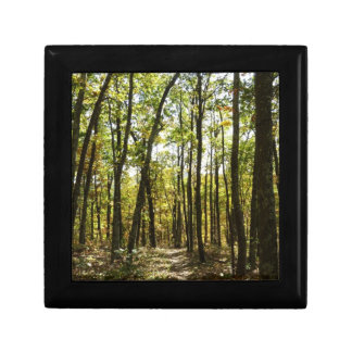Appalachian Trail in October at Shenandoah Gift Box