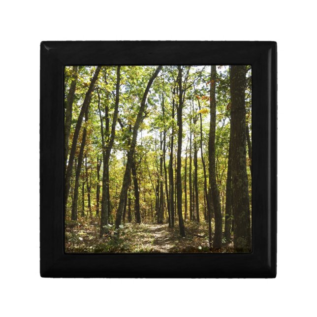 Appalachian Trail in October at Shenandoah Gift Box (Front)