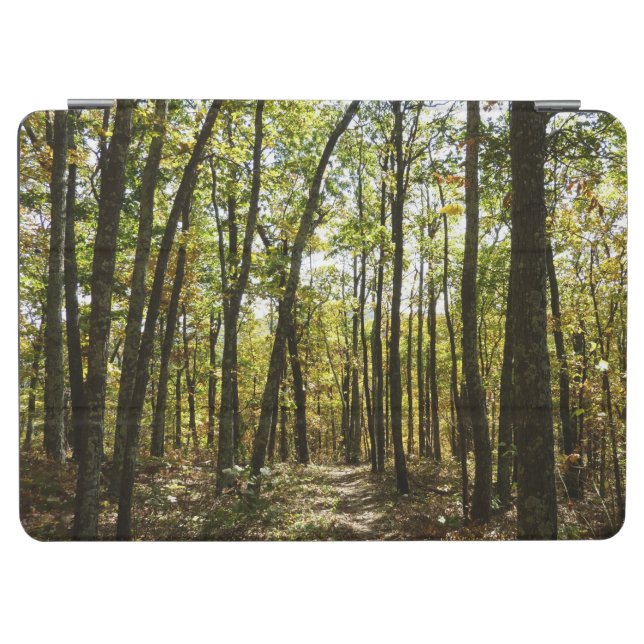 Appalachian Trail in October at Shenandoah iPad Air Cover (Horizontal)