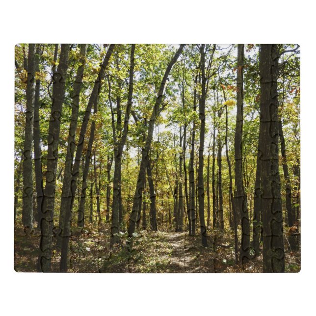 Appalachian Trail in October at Shenandoah Jigsaw Puzzle (Puzzle Horizontal)