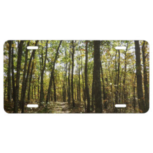 Appalachian Trail in October at Shenandoah License Plate