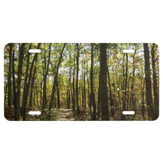 Appalachian Trail in October at Shenandoah License Plate (Front)