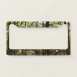Appalachian Trail in October at Shenandoah License Plate Frame