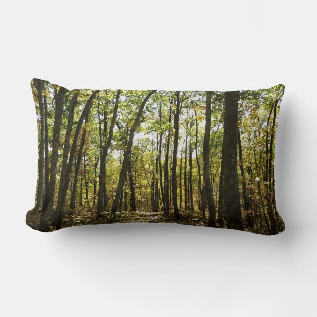 Appalachian Trail in October at Shenandoah Lumbar Pillow (Front)