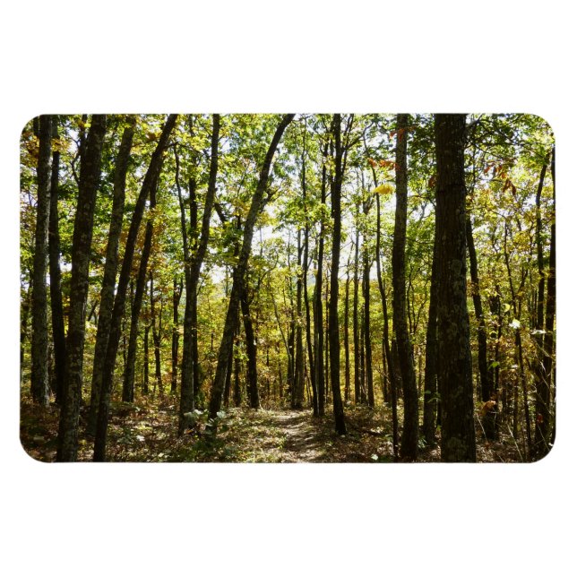 Appalachian Trail in October at Shenandoah Magnet (Horizontal)