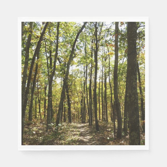 Appalachian Trail in October at Shenandoah Napkins (Front)