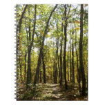 Appalachian Trail in October at Shenandoah Notebook