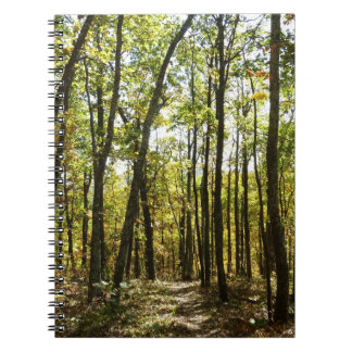 Appalachian Trail in October at Shenandoah Notebook