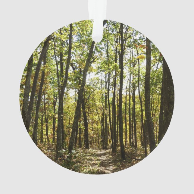 Appalachian Trail in October at Shenandoah Ornament (Back)