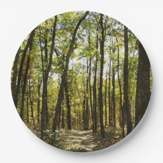 Appalachian Trail in October at Shenandoah Paper Plates