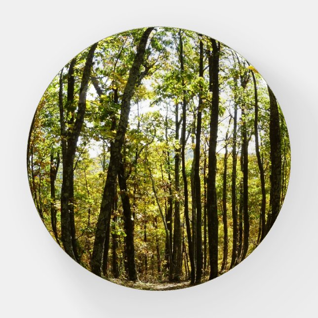 Appalachian Trail in October at Shenandoah Paperweight (Front)