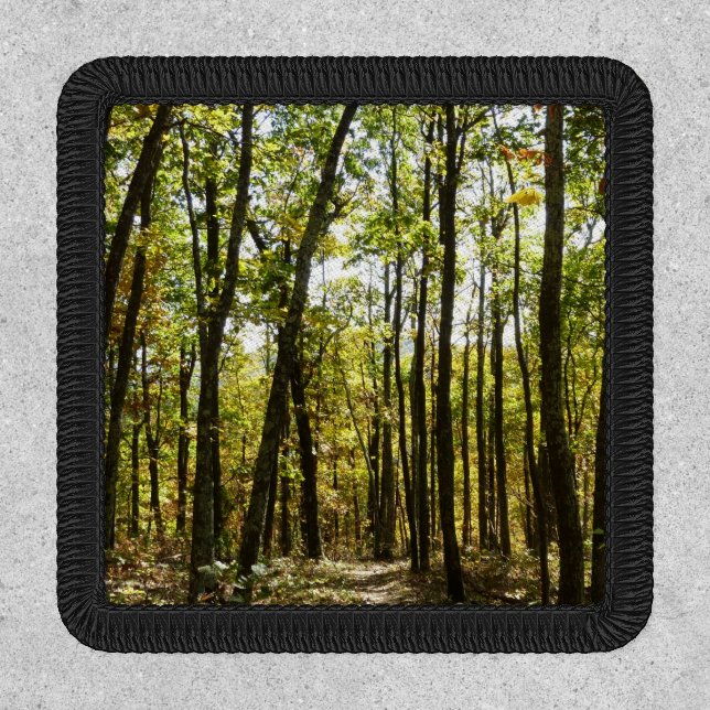 Appalachian Trail in October at Shenandoah Patch (Front)