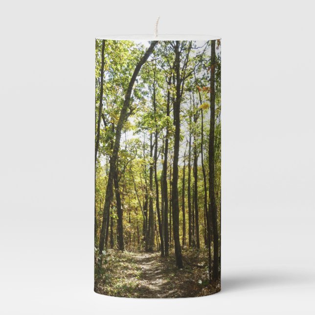 Appalachian Trail in October at Shenandoah Pillar Candle (Front)
