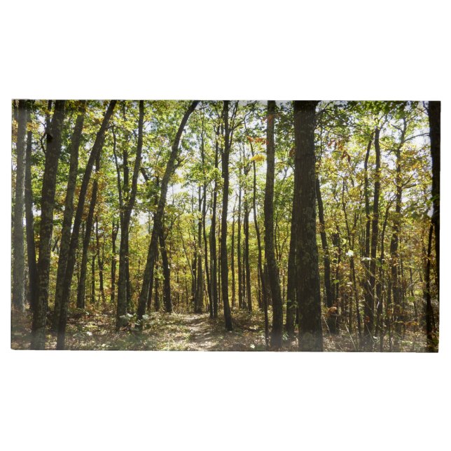 Appalachian Trail in October at Shenandoah Place Card Holder (Front)