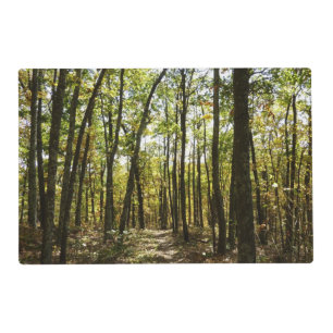 Appalachian Trail in October at Shenandoah Placemat