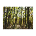Appalachian Trail in October at Shenandoah Postcard