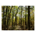 Appalachian Trail in October at Shenandoah Poster