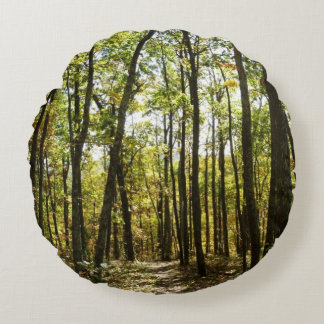 Appalachian Trail in October at Shenandoah Round Pillow