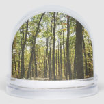 Appalachian Trail in October at Shenandoah Snow Globe