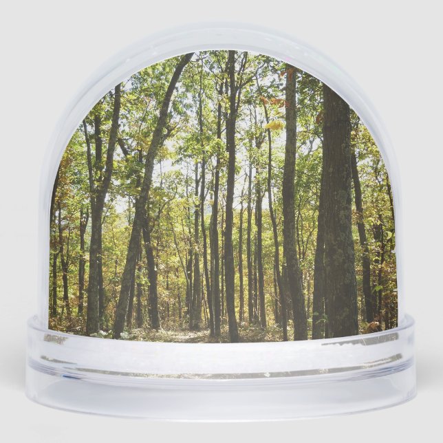 Appalachian Trail in October at Shenandoah Snow Globe (Front)