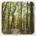 Appalachian Trail in October at Shenandoah Square Paper Coaster