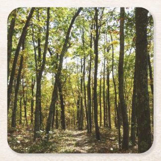 Appalachian Trail in October at Shenandoah Square Paper Coaster