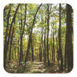 Appalachian Trail in October at Shenandoah Square Sticker