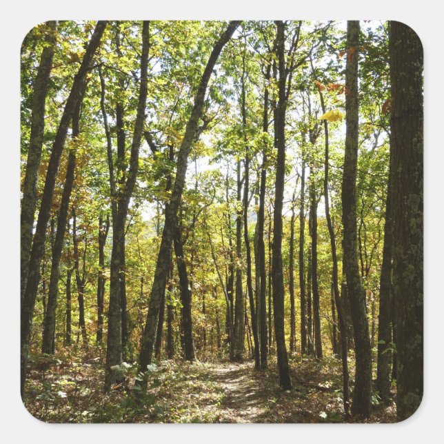 Appalachian Trail in October at Shenandoah Square Sticker (Front)