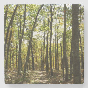 Appalachian Trail in October at Shenandoah Stone Coaster