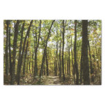 Appalachian Trail in October at Shenandoah Tissue Paper