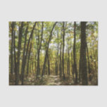 Appalachian Trail in October at Shenandoah Tissue Paper