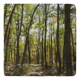 Appalachian Trail in October at Shenandoah Trivet
