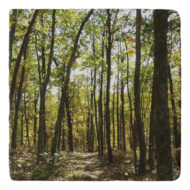 Appalachian Trail in October at Shenandoah Trivet (Front)