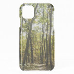 Appalachian Trail in October at Shenandoah iPhone 11 Case