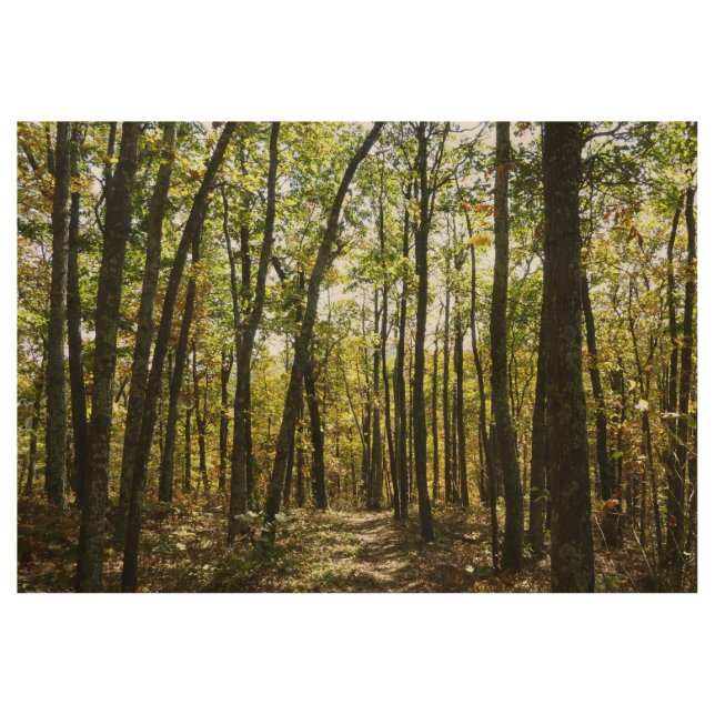 Appalachian Trail in October at Shenandoah Wood Poster (Front)