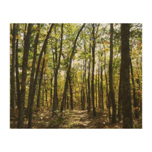 Appalachian Trail in October at Shenandoah Wood Wall Decor