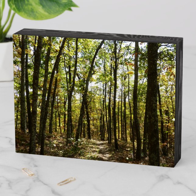 Appalachian Trail in October at Shenandoah Wooden Box Sign (In Situ Horizontal)