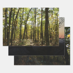 Appalachian Trail in October at Shenandoah Wrapping Paper Sheets