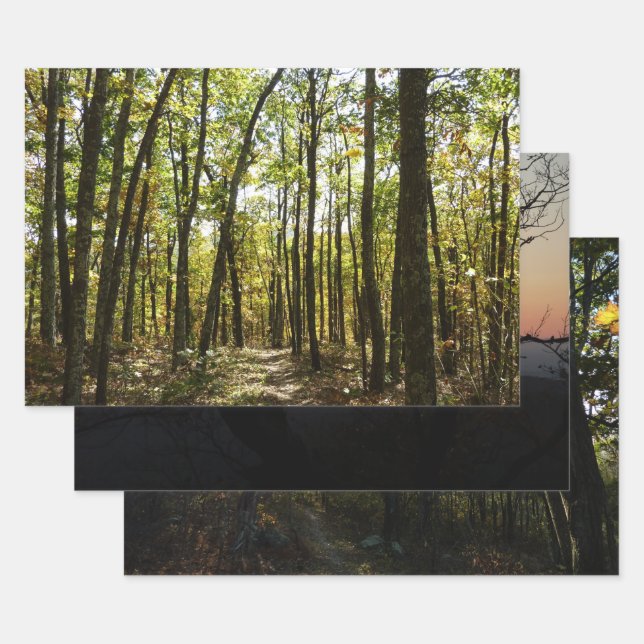 Appalachian Trail in October at Shenandoah Wrapping Paper Sheets (Set)