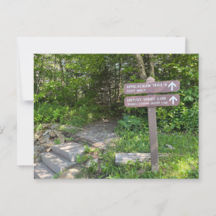 Appalachian Trail Mt. Greylock Postcard