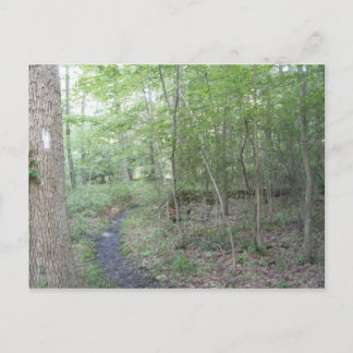 appalachian trail pennAIDS south Postcard