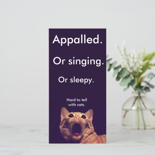 Appalled. Probably. (Standing Front)